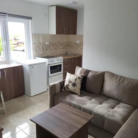 Apartment Pavlovic Sokobanja