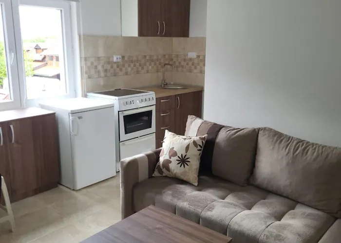 Apartament Pavlović Sokobanja