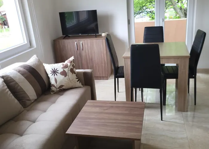 Apartament Pavlović Sokobanja